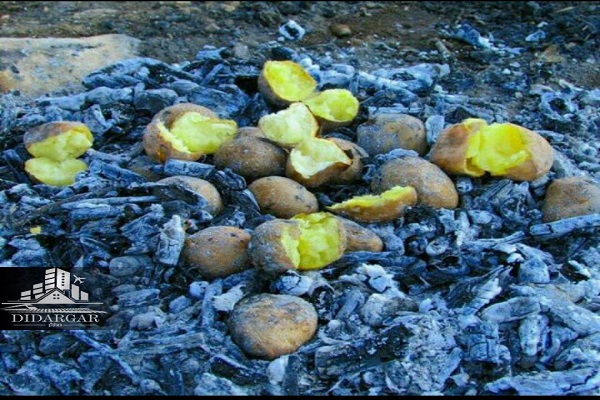 غذا در طبیعت - دیدارگر